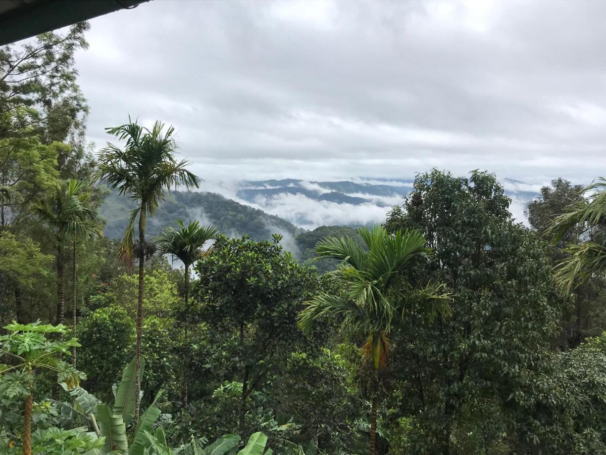 Villa Munnar Nature Dale Exterior foto